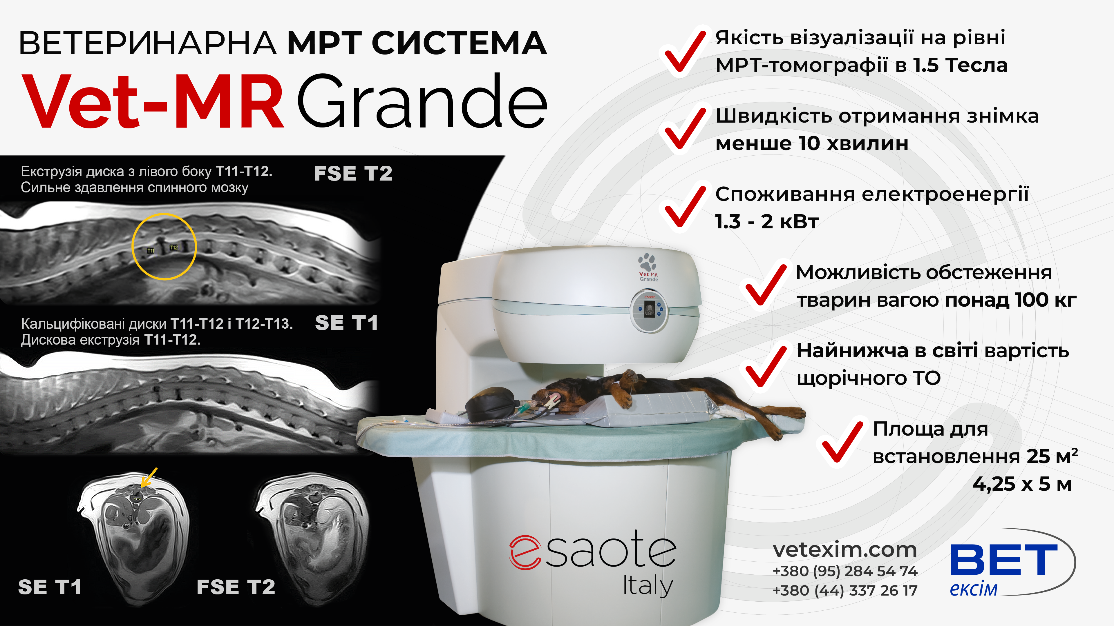 МРТ система Vet-MR Grande - взірець сучасного ветеринарного обладнання.