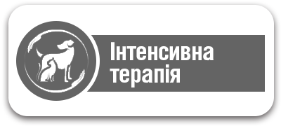 Інтенсивна терапія