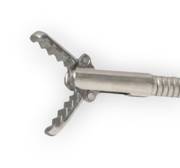 Дистальний кінець ендоскопічних захоплюючих щипців типу Алігатор з відкритими щелепами та гострими краями