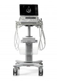 На фото показано УЗД-апарат MyLab Omega VET - стійкий візок з коліщатками, на якому розміщено монітор, системний блок і датчики. Пристрій призначено для ультразвукової діагностики. Екран відтворює ультразвукове зображення