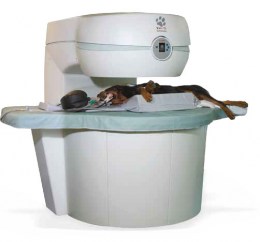 Ветеринарний апарат МРТ vet-MR Grande. На зображенні показано систему в зборі зі столом пацієнта. На столі лежить собака, підготовлена до процедури магнітно-резонансної томографії, що демонструє використання апарата у ветеринарній клініці.